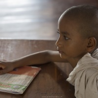 Jeune moine  à l'étude