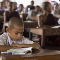 Jeunes moines à l'étude