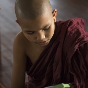 Jeune moine  à l'étude