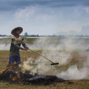 Elimination des mauvaises herbes