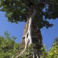 Site de Shwe Inn Tain