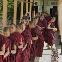 Jeunes moines, Bago