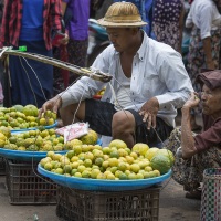 Marché, Bago