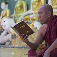 Yangon: Activité à l'intérieur de la pagode de Shwedagon