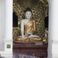 Yangon: Bouddha à l'intérieur de la pagode de Shwedagon