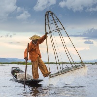 Lac Inle: Pêcheur traditionnel