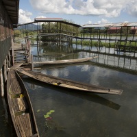 Lac Inle: Tissage