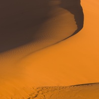 Dunes dans le parc du Namib-Naukluft