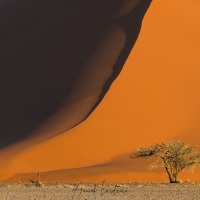 Dunes dans le parc du Namib-Naukluft