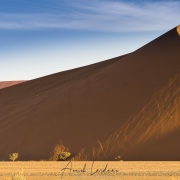 Dunes dans le parc du Namib-Naukluft
