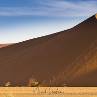 Dunes dans le parc du Namib-Naukluft