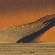 Dunes dans le parc du Namib-Naukluft
