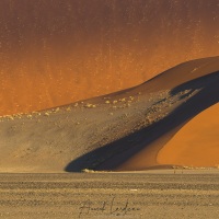 Dunes dans le parc du Namib-Naukluft
