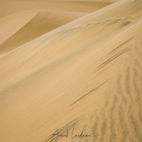 Valvis bay: Dunes de sable fin