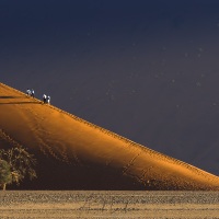 Dunes dans le parc du Namib-Naukluft