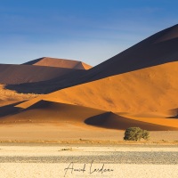 Dunes dans le parc du Namib-Naukluft