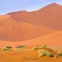 Dunes dans le parc du Namib-Naukluft