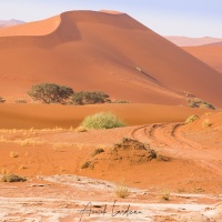 Dunes dans le parc du Namib-Naukluft