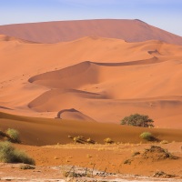 Dunes dans le parc du Namib-Naukluft