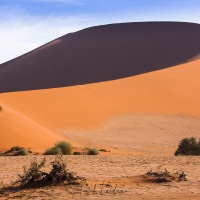 Dunes dans le parc du Namib-Naukluft