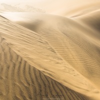 Swakopmund: Dunes de sable fin