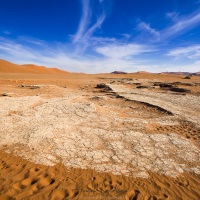 Dans le parc du Namib-Naukluft