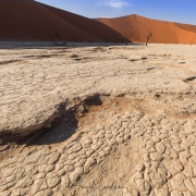 Dans le parc du Namib-Naukluft