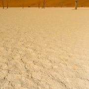 Dead Vlei et ses arbres pétrifiés
