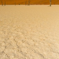 Dead Vlei et ses arbres pétrifiés