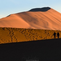 Dead Vlei et ses arbres pétrifiés