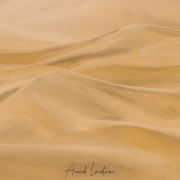 Valvis bay: Dunes de sable fin