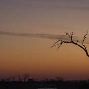 Coucher de soleil