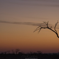 Coucher de soleil