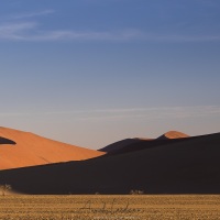 Dunes dans le parc du Namib-Naukluft