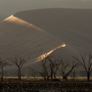 Dunes dans le parc du Namib-Naukluft