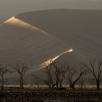 Dunes dans le parc du Namib-Naukluft