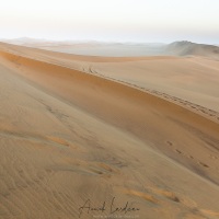 Swakopmund: Dunes de sable fin