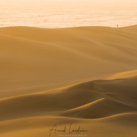 Swakopmund: Dunes de sable fin au coucher de soleil