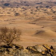 Plaine désertique