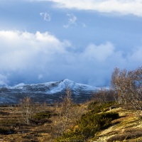 paysage de taïga