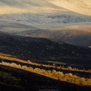 Paysage montagneux