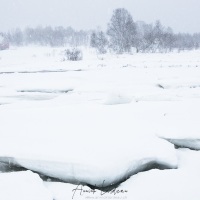 Tempête de neige