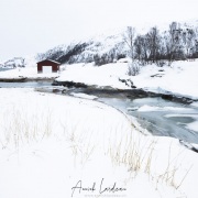 Paysage hivernal