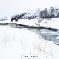 Paysage hivernal