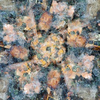 Galets colorés
