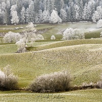 Paysage givré