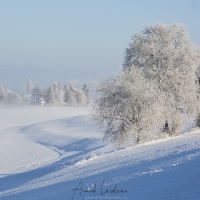 Paysage du Jorat