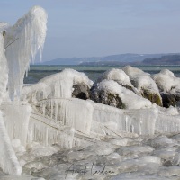 Froid polaire et bise sur le lac de Neuchatel