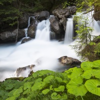 Avançon de Nant