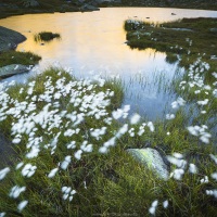 Paysage col du Gotthard